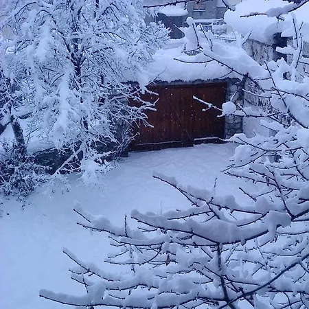 Gini Vinis * Samarína