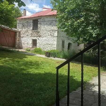 Gini Vinis