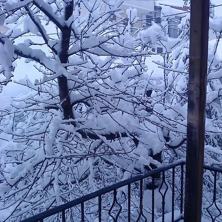 شاليه Gini Vinis