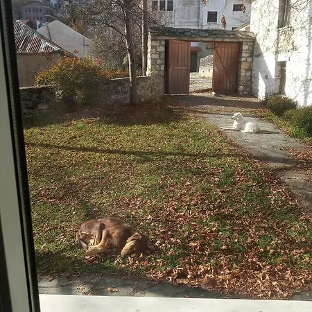 Gini Vinis شاليه *