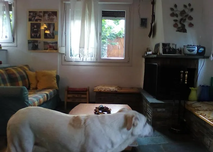 Chaletu Ginî Viñis Samarína