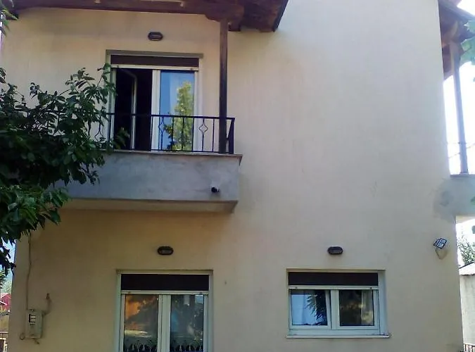 Chaletu Ginî Viñis *