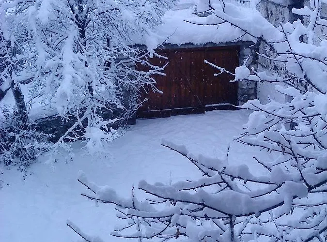 Ginî Viñis * Samarína