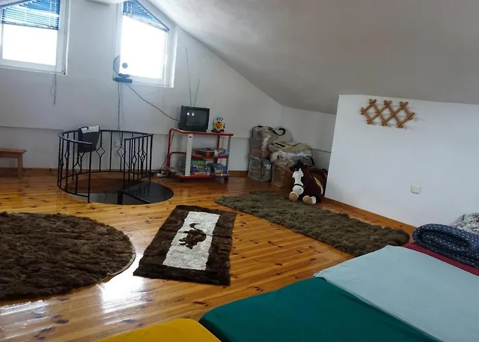 Chaletu Ginî Viñis Samarína