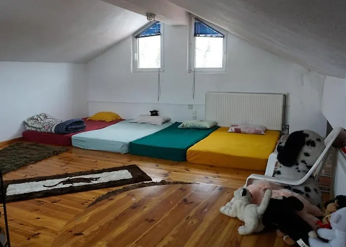 Chaletu Ginî Viñis