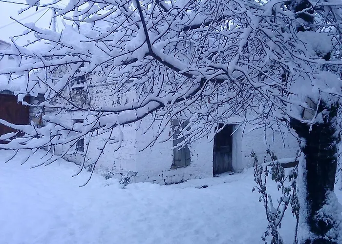 Ginî Viñis Samarína