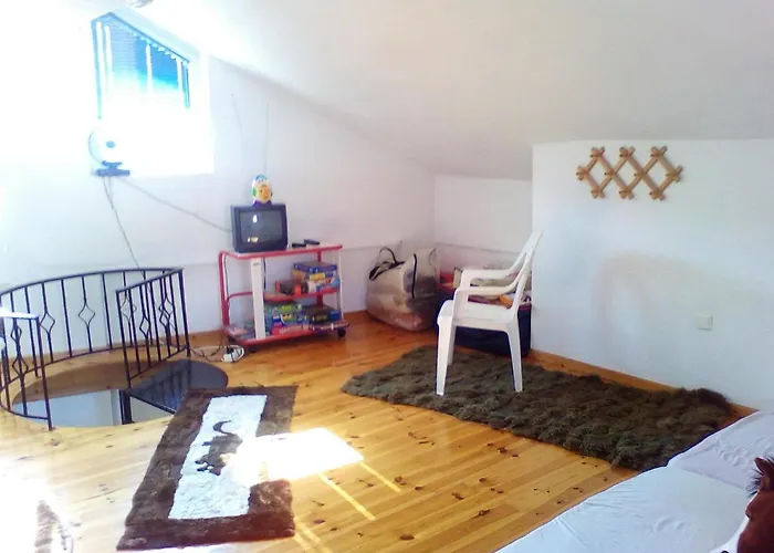 Ginî Viñis * Samarína