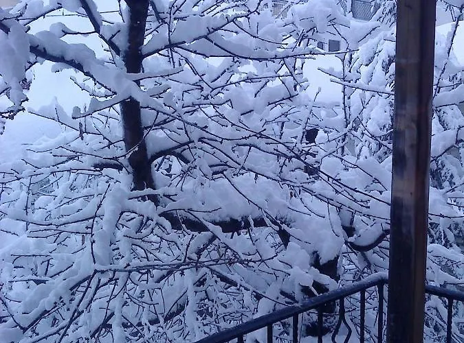 Chaletu Ginî Viñis