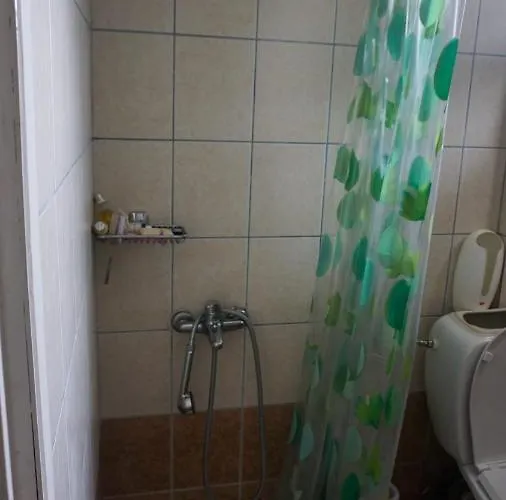 Chaletu Ginî Viñis *