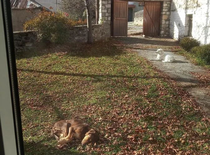 Ginî Viñis Chaletu *